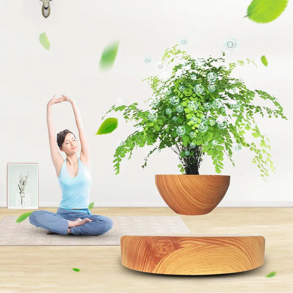 Zero Gravity Garden: Magnetic Floating Bonsai Planter