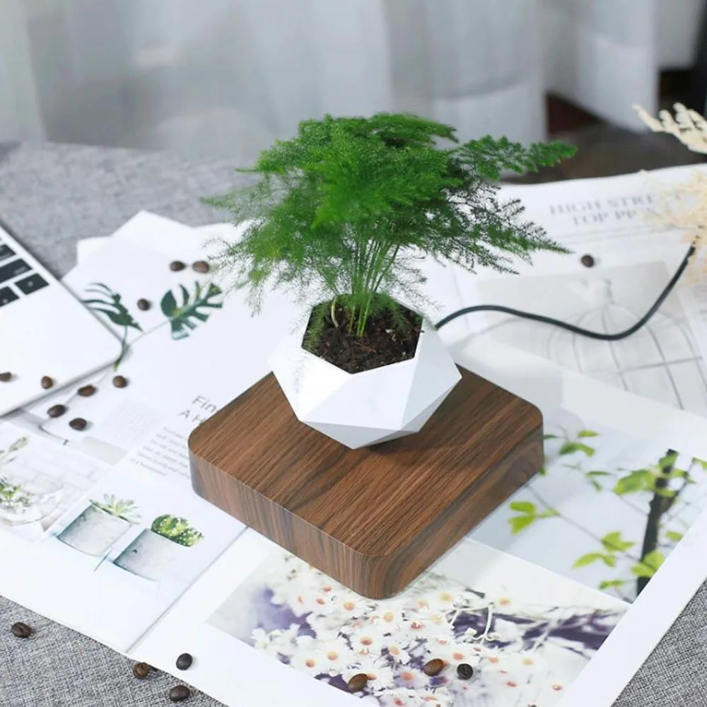 Zero Gravity Garden: Magnetic Floating Bonsai Planter