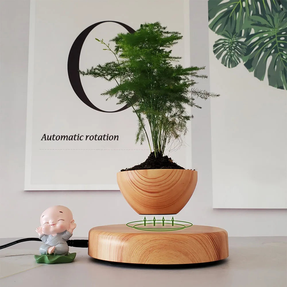 Zero Gravity Garden: Magnetic Floating Bonsai Planter
