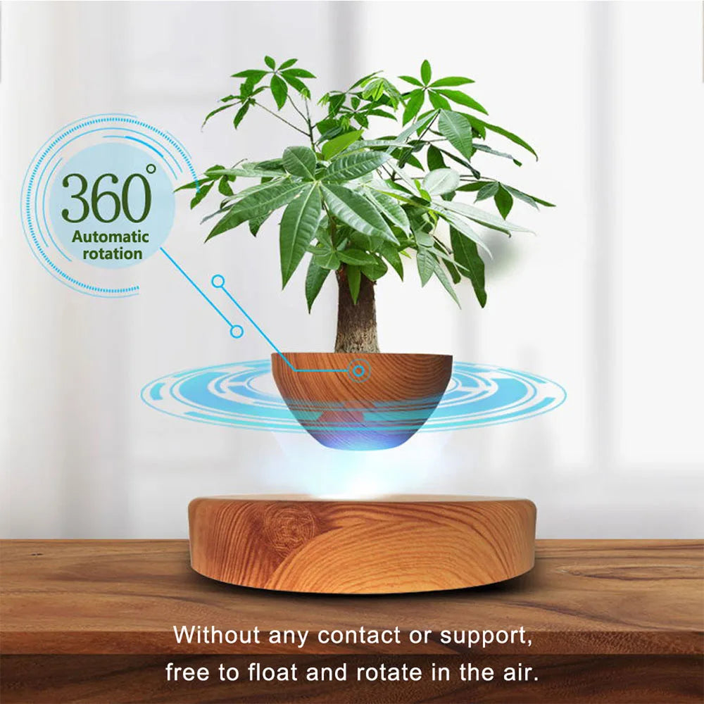 Zero Gravity Garden: Magnetic Floating Bonsai Planter