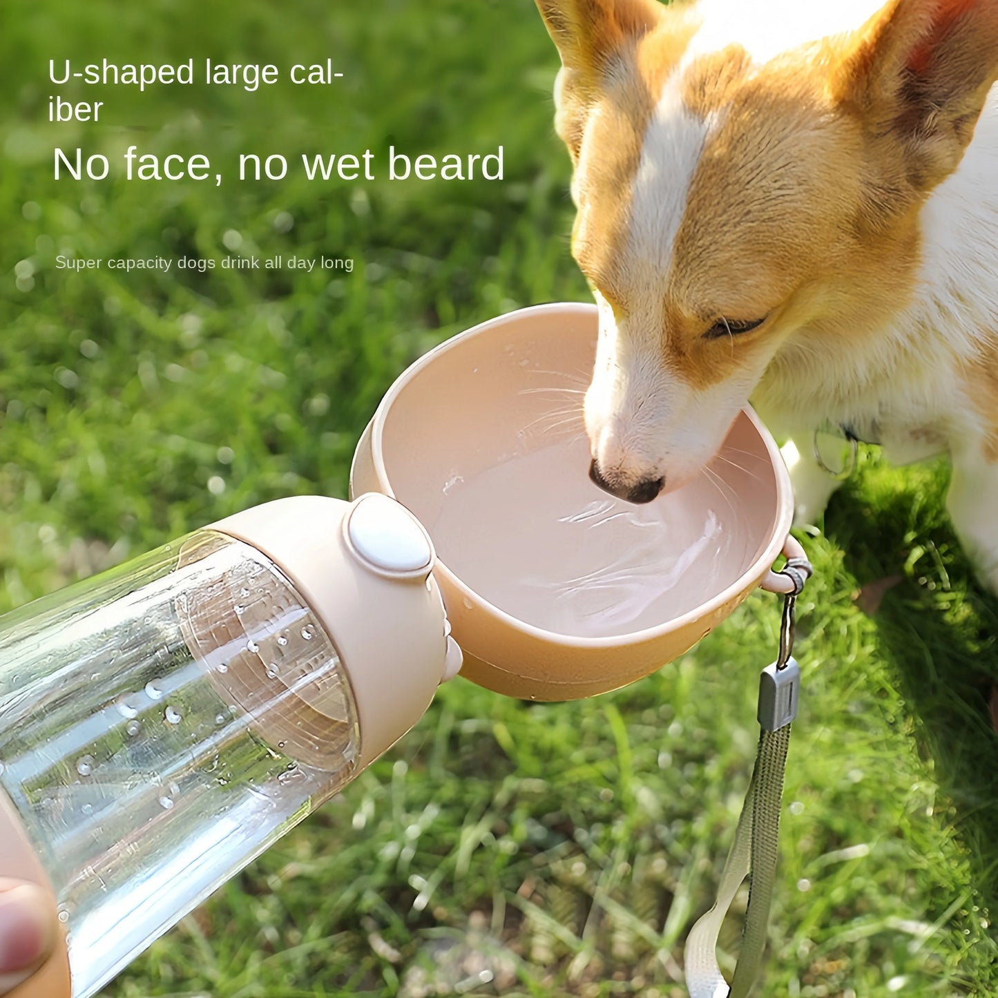 Space-Saving Pet Feeder & Water Cup – Ideal for Adventures!