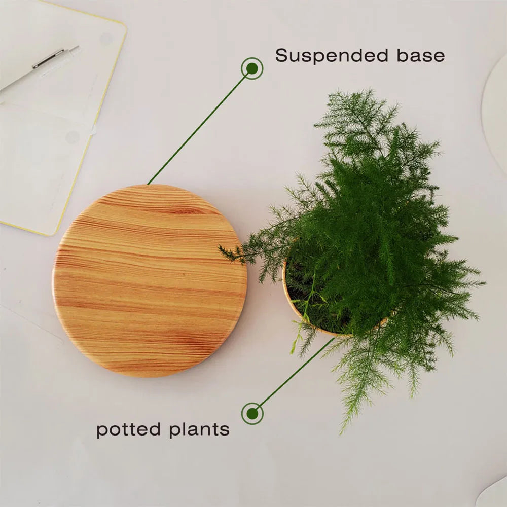 Zero Gravity Garden: Magnetic Floating Bonsai Planter
